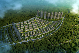 1577260194837_375X210_2